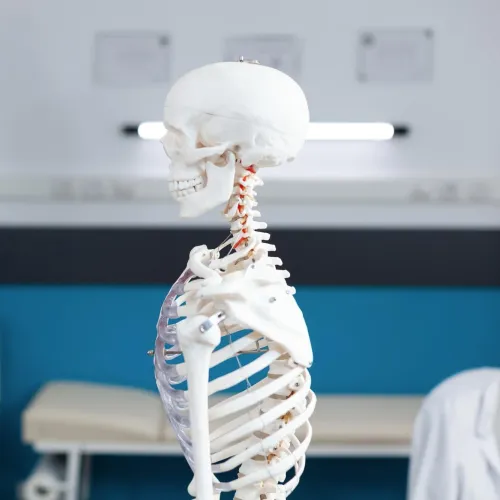 Curso radmedica on line 2024 - Imagen secundaria curso on-line (1).jpg